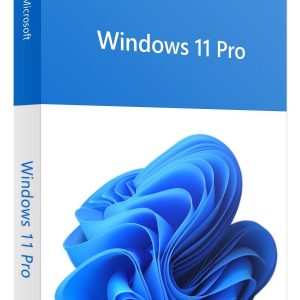 Windows 11 Professional Retail